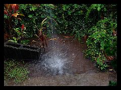 photo "Experimental flow of water"