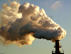 photo "Save our planet!"
