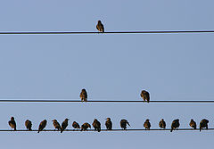 photo "TEAM"