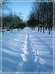 photo "Winter builds new roads..."