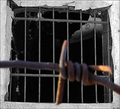 фото "Prisoned"
