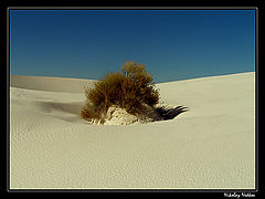photo "Alone"