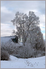 фото "Запорошенное село..."