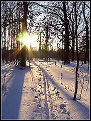 photo "Догнать солнце..."