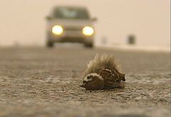 photo "The accident"