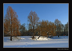 photo "2005. Winter etude-3"