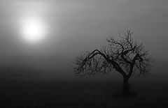 фото "untitled"