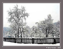 фото "Fence 3"