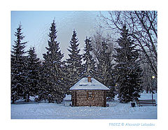 photo "Freez"