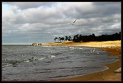 фото "*****(7)"