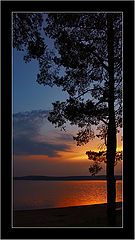 photo "Vertical sunset :)"