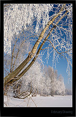 фото "Февральские узоры"