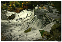 photo "Just water..."