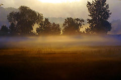 photo "sunrise"
