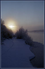 photo "February. Frosty morning."