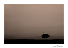 фото "(no title)"