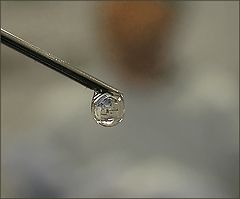 photo "ETUDE WITH A DROP (variation)"