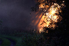 photo "The entrance to the paradise"