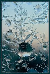 photo "Window Dwellers (3)"