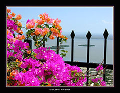 photo "Colors of Cartagena!"