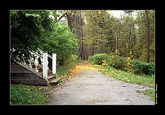 photo "Back Porch"