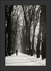 фото "To go for a walk..."