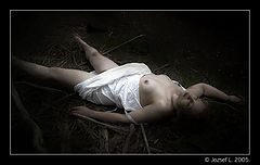 photo "Untitled photo"