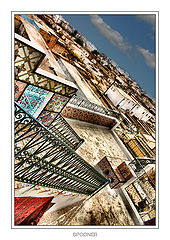 фото "***"