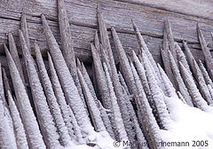 photo "Snow"