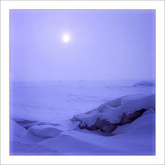 photo "Polar night"