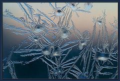 photo "Window Dwellers (1)"