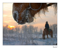фото "Прогулка"