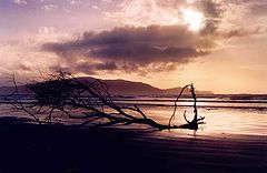 photo "Calm after the Storm"