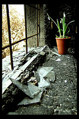photo "somebody was living here"