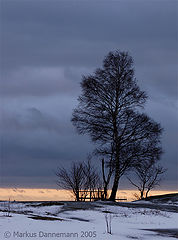 photo "Talvi"