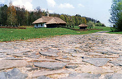 photo "the Way Home"