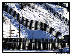 фото "Garduri di umbre"