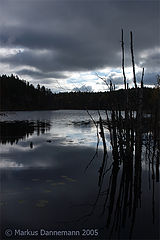 photo "Sky"