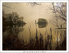 photo "dreamcatcher"