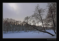 photo "Frosty silence"