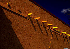 photo "yellow"