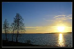 photo "Discussion of the sun))"