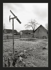 фото "мне бы в небо"
