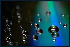 photo "drops (1)"