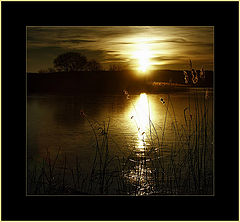 photo "Birth of a star"