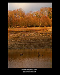 фото "my autumn`s done come"