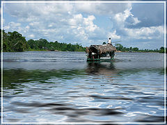 photo "Long way back"