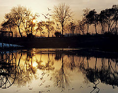 photo "Lake in the deserted park"