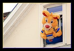 фото "... happy ..."