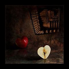 фото "@"